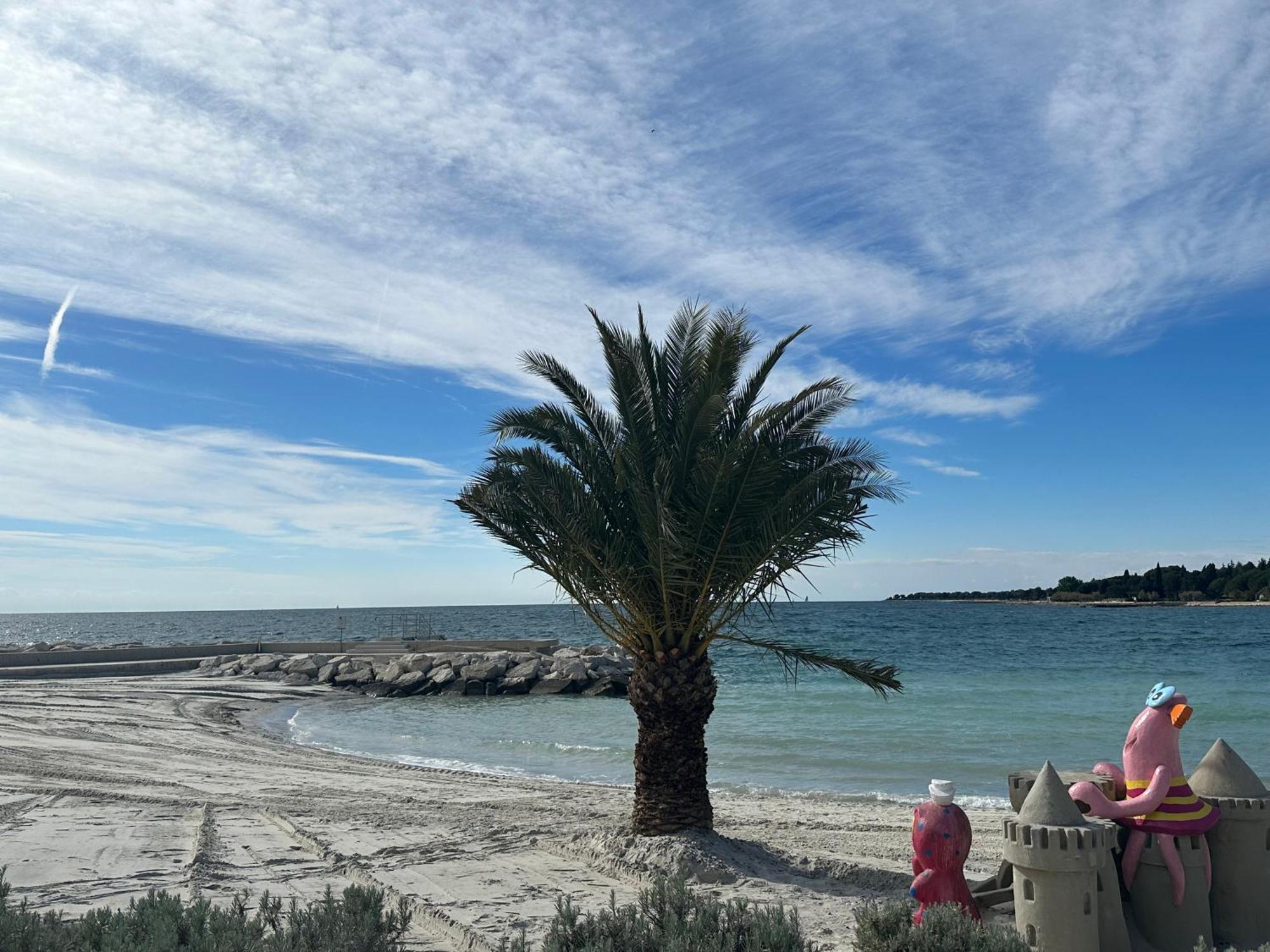 Mare