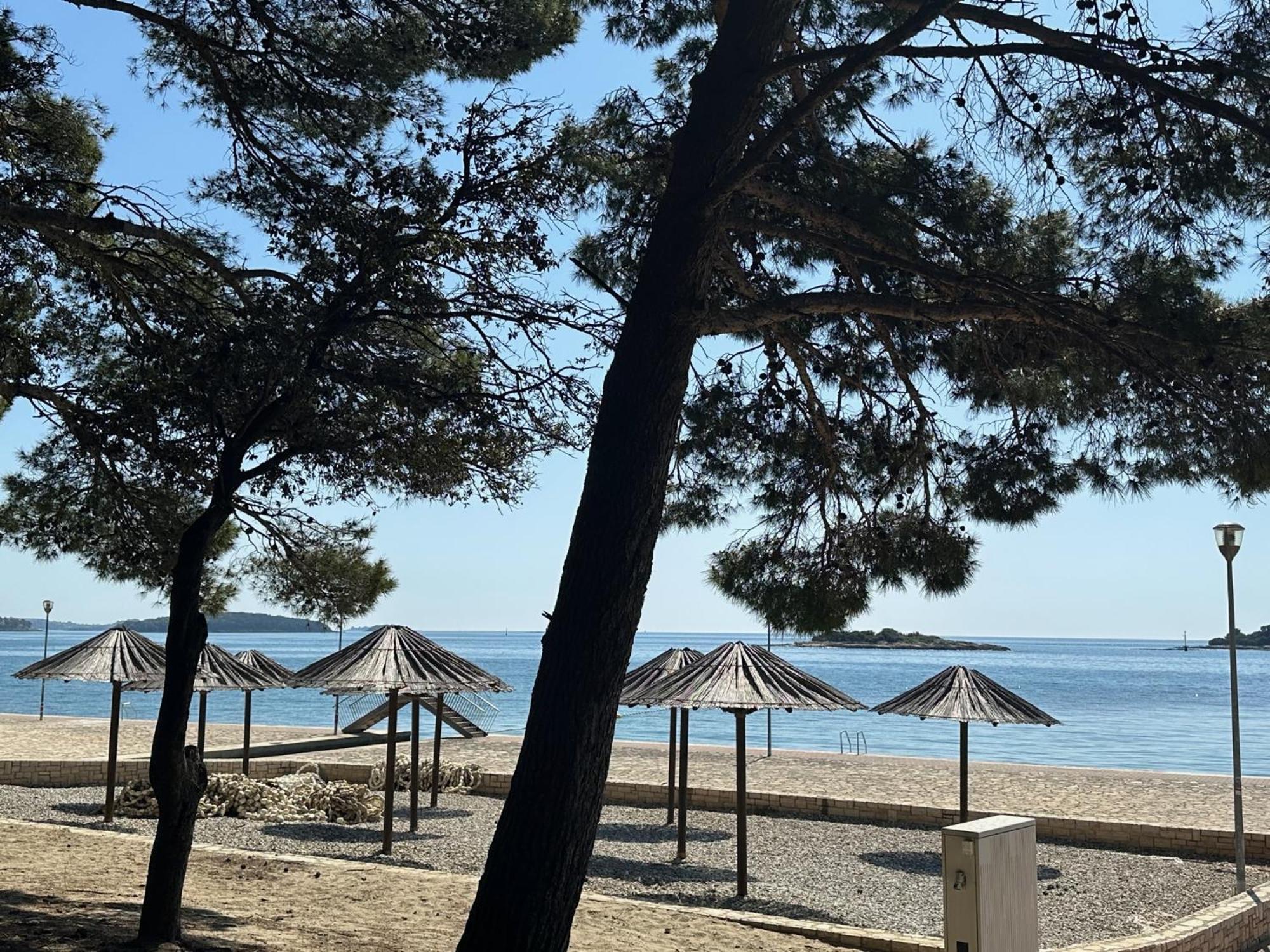 Mare